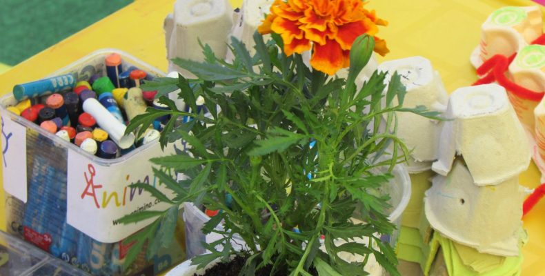 eko radionice za djecu u prirodi i edukativne aktivnosti Animino